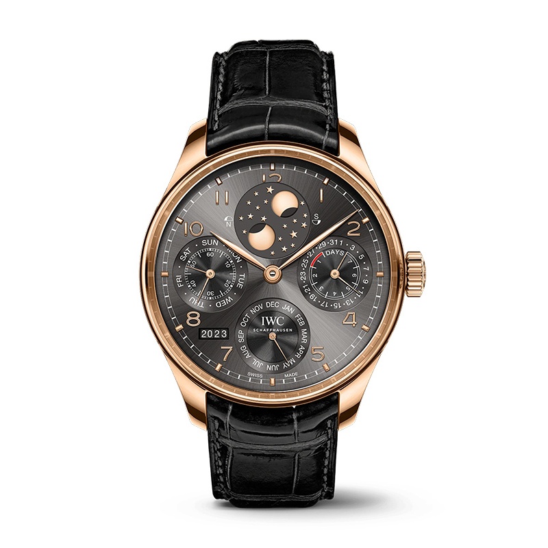 Portugieser Watch IW503404
