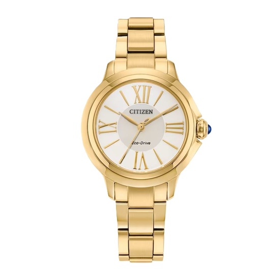 Citizen Sea Land AW1800-89X