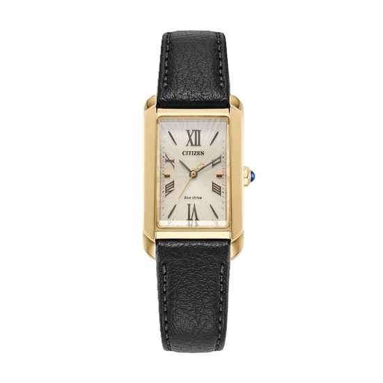 Citizen Sea Land AW1800-89X