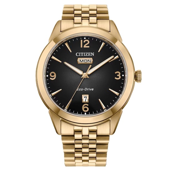 Citizen Sea Land AW1800-89X