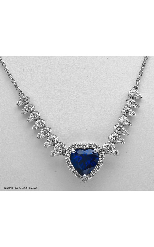 JYE  Necklace NB20770