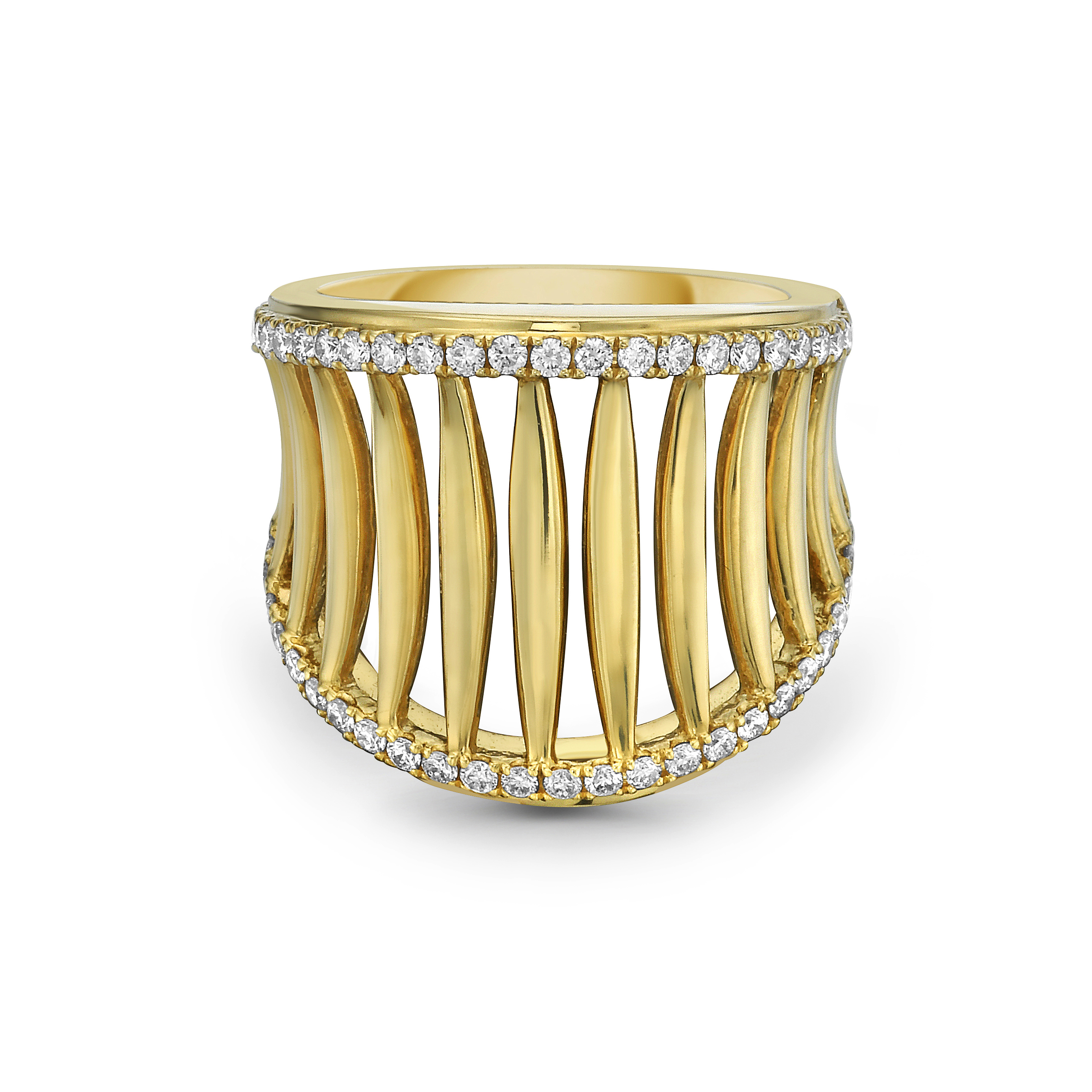 Birdcage Saddle Ring