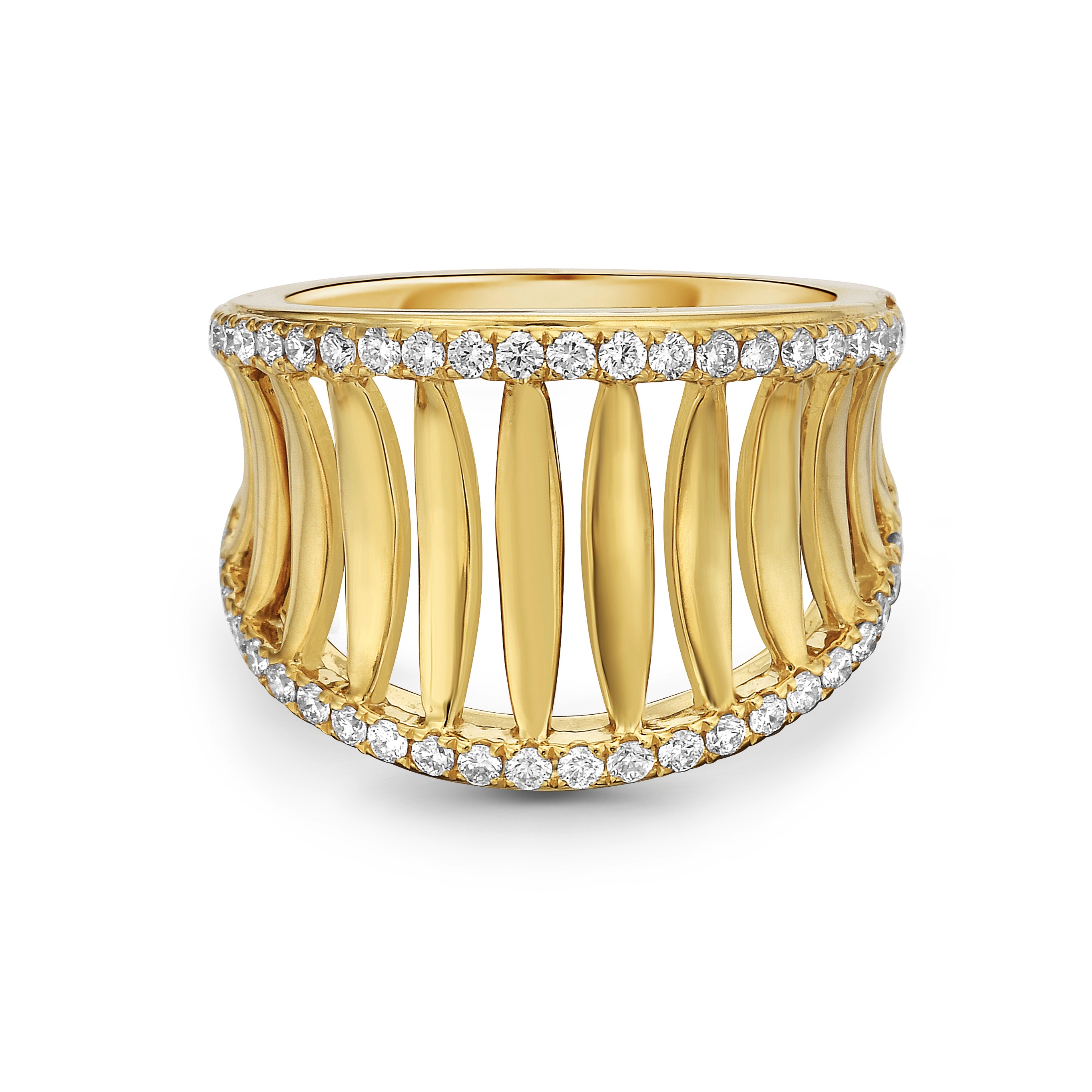 Birdcage Saddle Ring