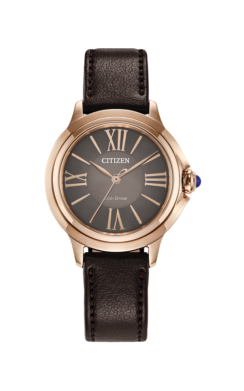 Citizen  Watch EM1163-09X