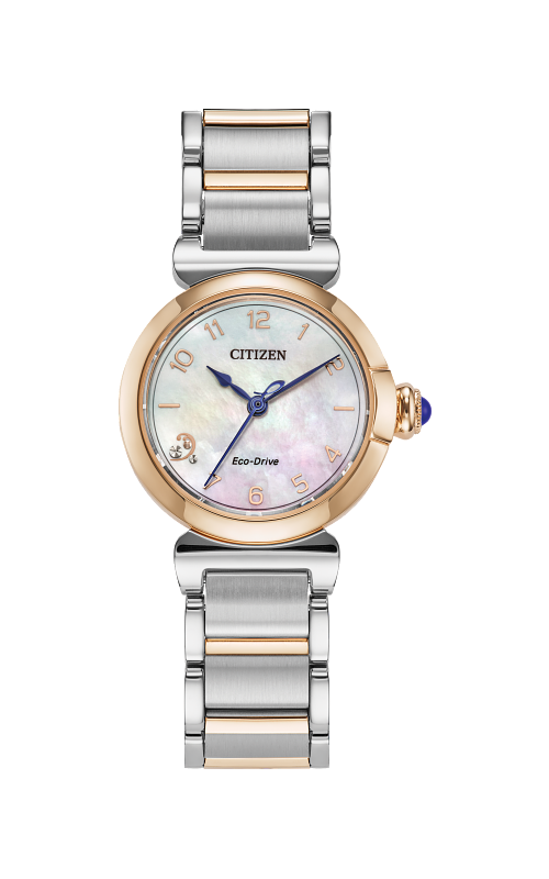 Citizen  Watch EM1136-87D