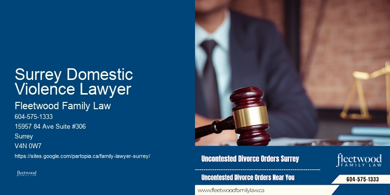 Surrey Domestic Violence Lawyer