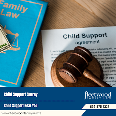 Spousal support attorney Surrey family property dispute lawyer