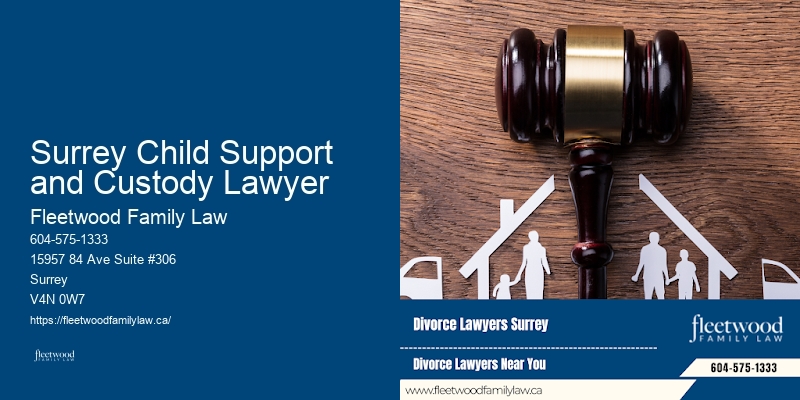 Surrey Child Support and Custody Lawyer