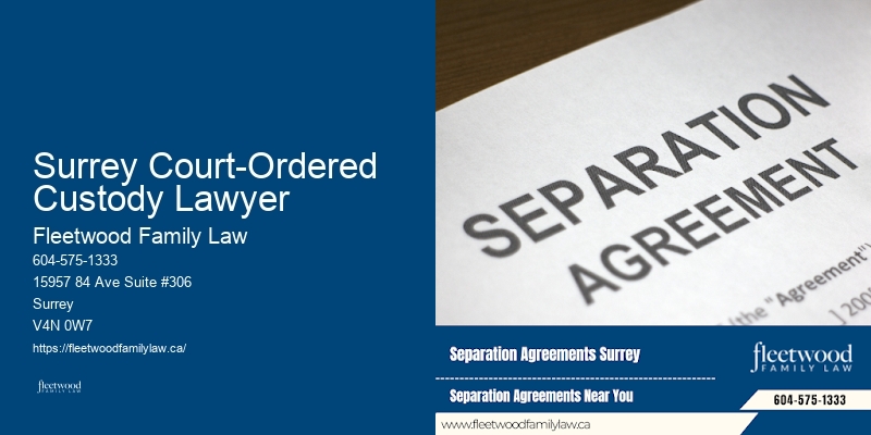 Surrey Court-Ordered Custody Lawyer