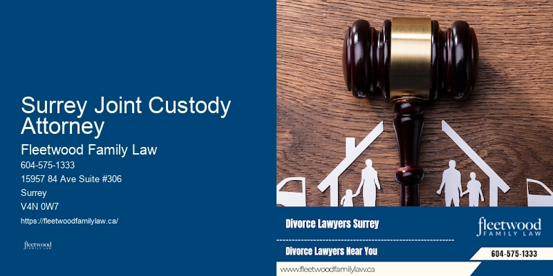 Surrey Joint Custody Attorney