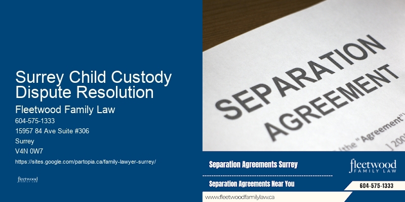 Surrey Child Custody Dispute Resolution
