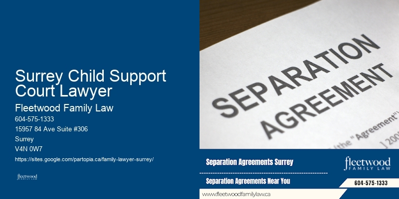 Surrey Child Support Court Lawyer
