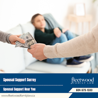 How Much Do A Family Lawyer Cost