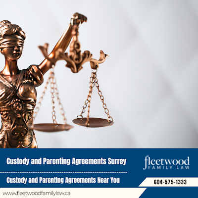 Surrey parental rights lawyer custody modification lawyer