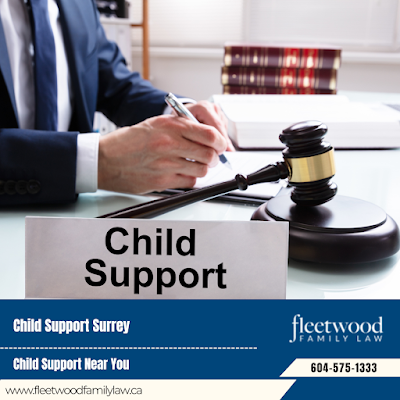 Professional family lawyer Post-divorce modifications Surrey