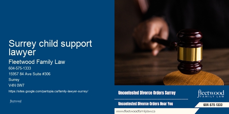 Surrey child support lawyer