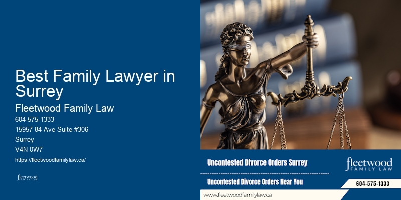 Best Family Lawyer Fees