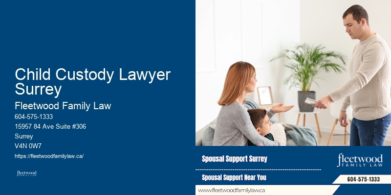 Child Custody Lawyer Surrey Family Lawyer Reviews