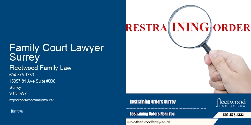 Legal Aid for Child Custody