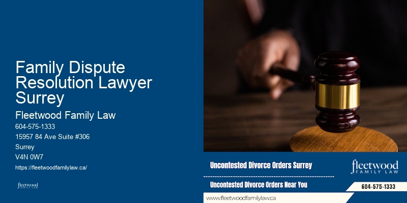 Family Dispute Resolution Lawyer Surrey