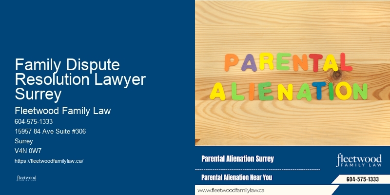 Family Lawyer Family Dispute Resolution Lawyer Surrey Legal Responsibilities