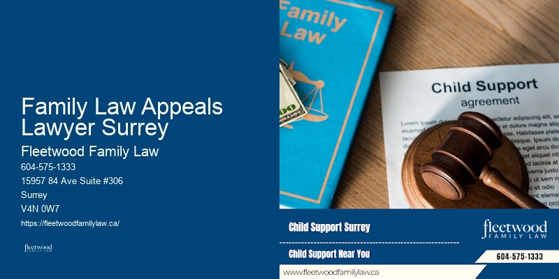 Family Law Appeals Lawyer Surrey Family Law and Estate Lawyer