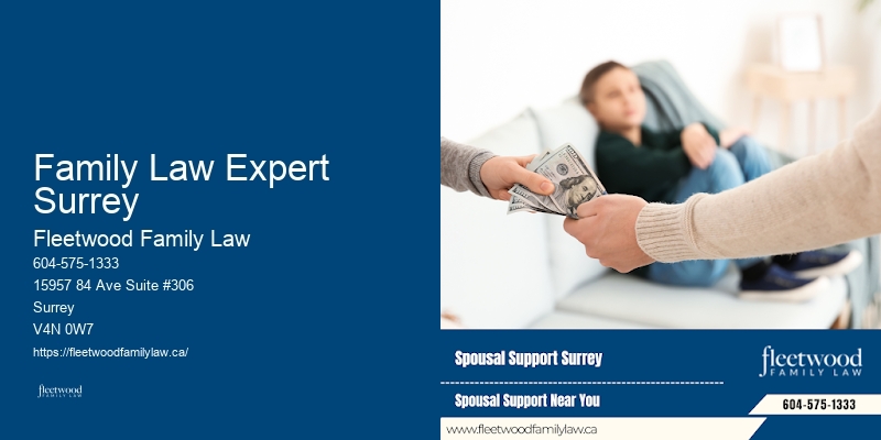 Family Lawyer Family Law Expert Surrey Legal Support