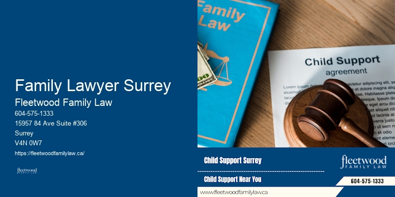 Child Support Lawyer