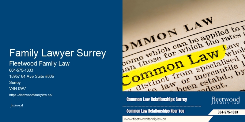 Dynamic Family Lawyer Family Lawyer Surrey