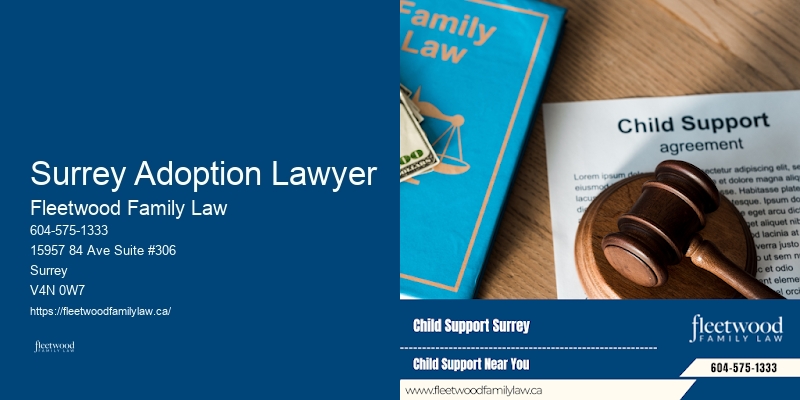 Child Custody Mediator