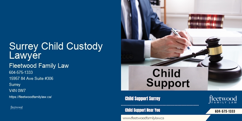Skilled Family Lawyer Consultations In Surrey Child Custody Lawyer