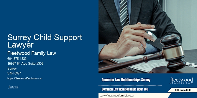 Child Support Attorney