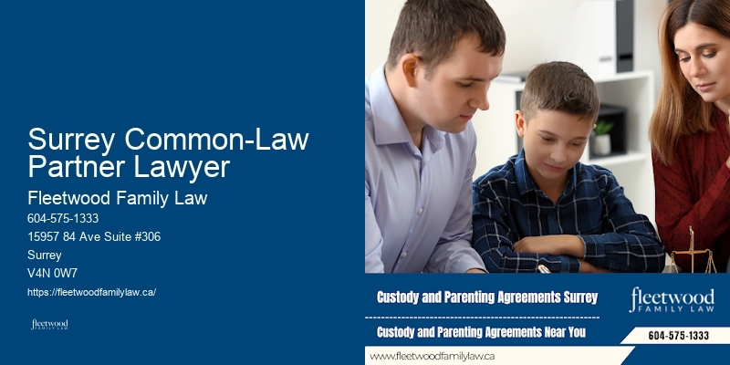 Family Lawyer Surrey Common-Law Partner Lawyer Legal Consultation
