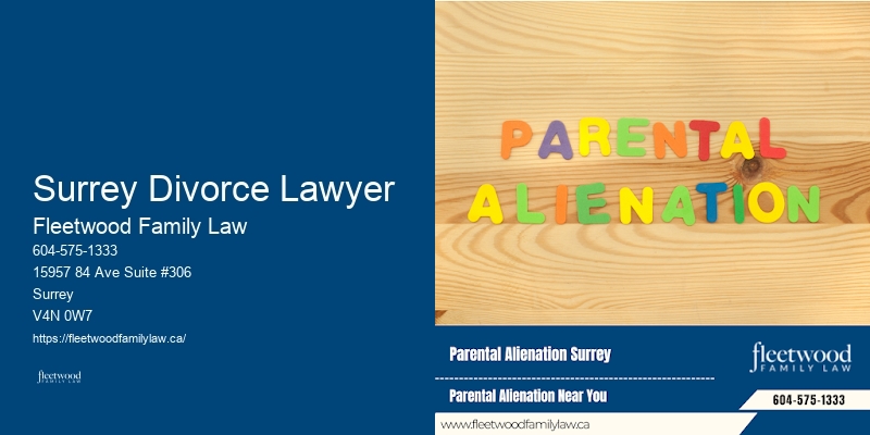 Child Support Lawyer Surrey Divorce Lawyer