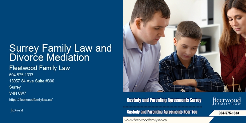 Family Lawyer Surrey Family Law and Divorce Mediation Legal Options