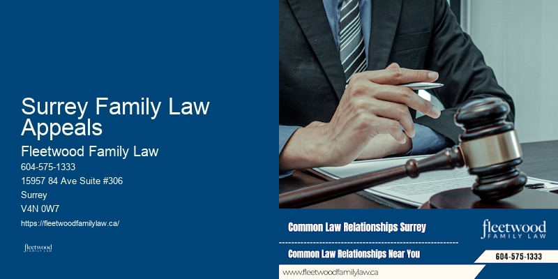 Family Lawyer In Surrey Family Law Appeals