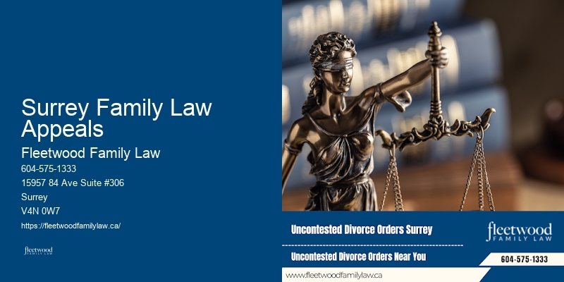 Proven Family Lawyer Surrey Family Law Appeals