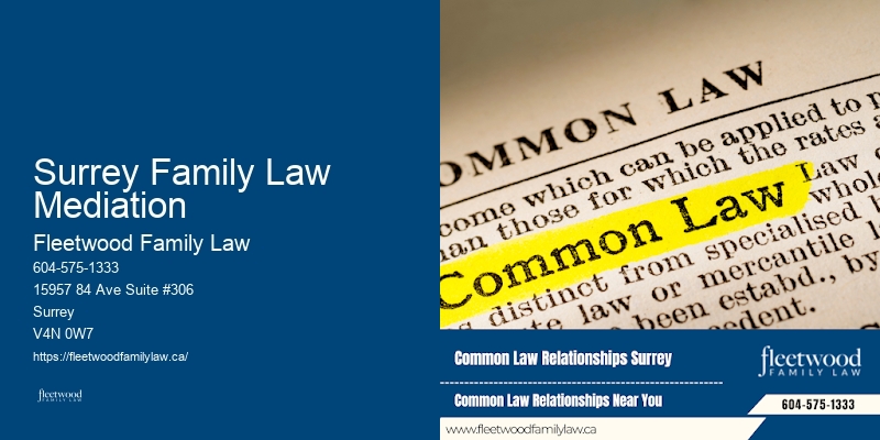 Family Lawyer Surrey Family Law Mediation Courtroom Experience