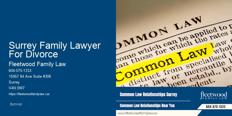Surrey Family Lawyer For Divorce Family Law Appeals