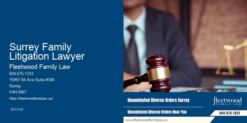 Surrey Family Litigation Lawyer