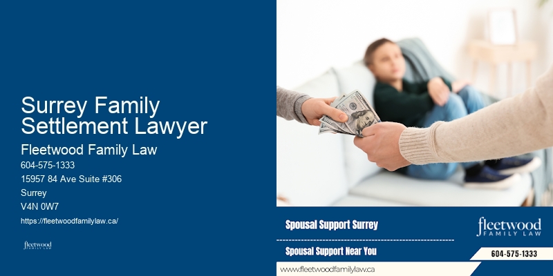 Child Custody Lawyer Surrey Family Settlement Lawyer