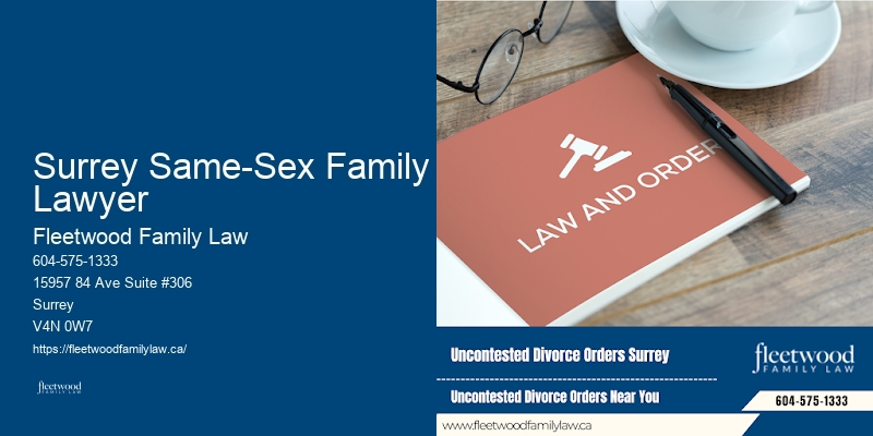 Low-Cost Family Lawyer Options