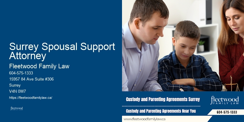 Family Lawyer Expense Overview