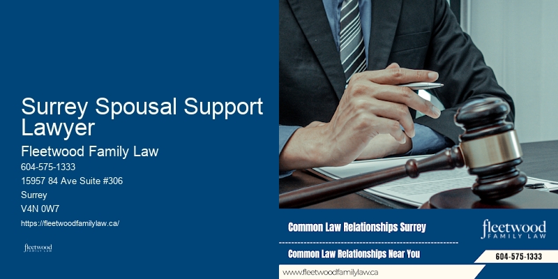 Surrey Spousal Support Lawyer Family Lawyer Reviews And Recommendations