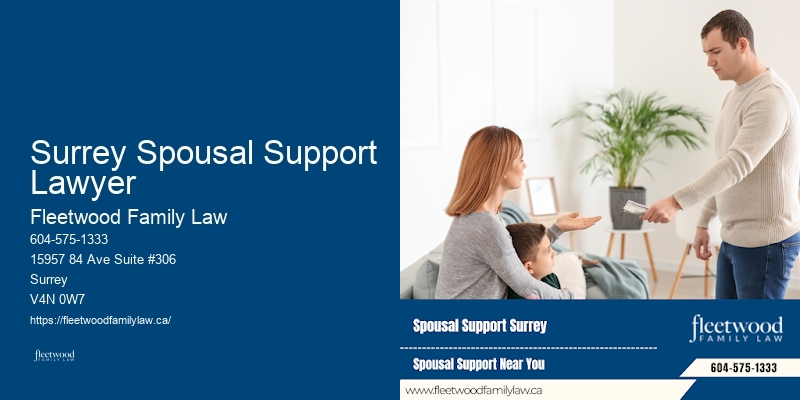 Family Lawyer Cost Efficiency