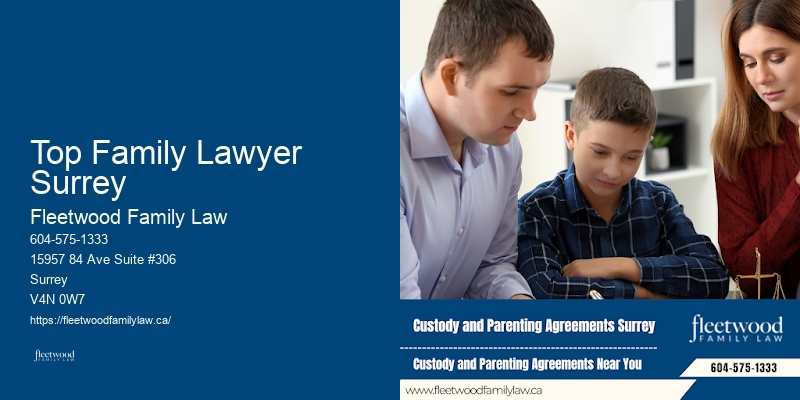 Top Family Lawyer Surrey Family Law Attorney