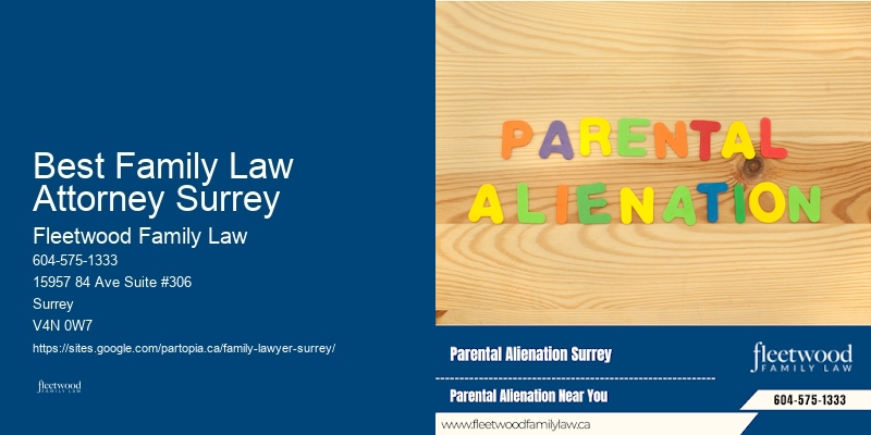 Comprehensive Family Lawyer Services In Best Family Law Attorney Surrey