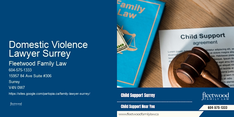 Domestic Violence Lawyer Surrey Adoption Lawyer