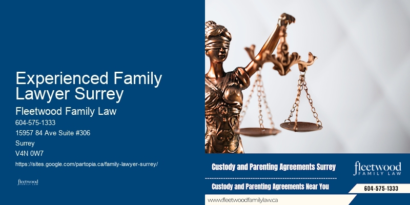 Family Law Litigator