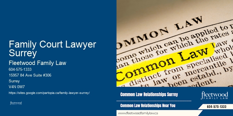 Custody Lawyer Family Court Lawyer Surrey Bc